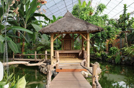 Vlindertuin Vlindorado