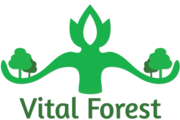 Vital Forest
