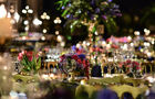 Twenty8 Events