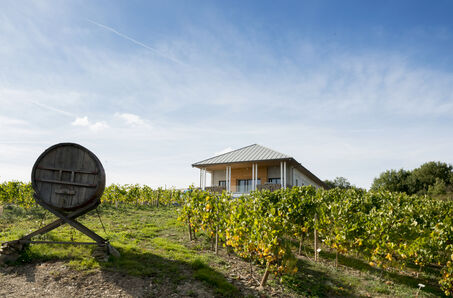 Le Vignoble Marchais