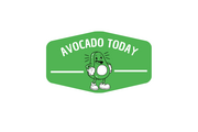 Avocado Today