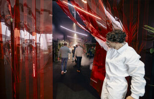 Whisk - live marketing & events