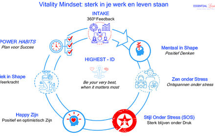 Vitality Mindset: Sta als Team Sterk in je Werk en Leven - Foto 1