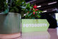 Foto- en video-activaties voor Duracell, Ethias en Wit-Gele Kruis - Foto 11