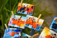 Foto- en video-activaties voor Duracell, Ethias en Wit-Gele Kruis - Foto 17