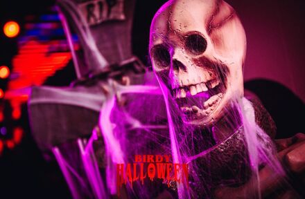 Halloween staat opnieuw voor de deur - Foto 1