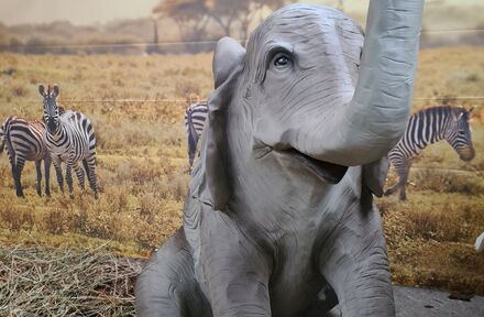 Afrika - enkele leuke projecten en stijlen op een rijtje - Foto 1