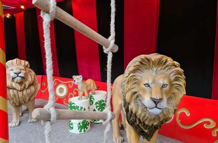 Thema decoratie Circus - Foto 1