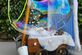 Bella Blaas: Wasvrouw, Bubblelicious Bubbles of Winter Queen. Welke kiest u? - Foto 3