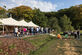 From Ginko to Funecare - Foto 3