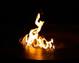 El incendio de Tomorrowland se desató poco después de la prueba del cuenco de fuego.
